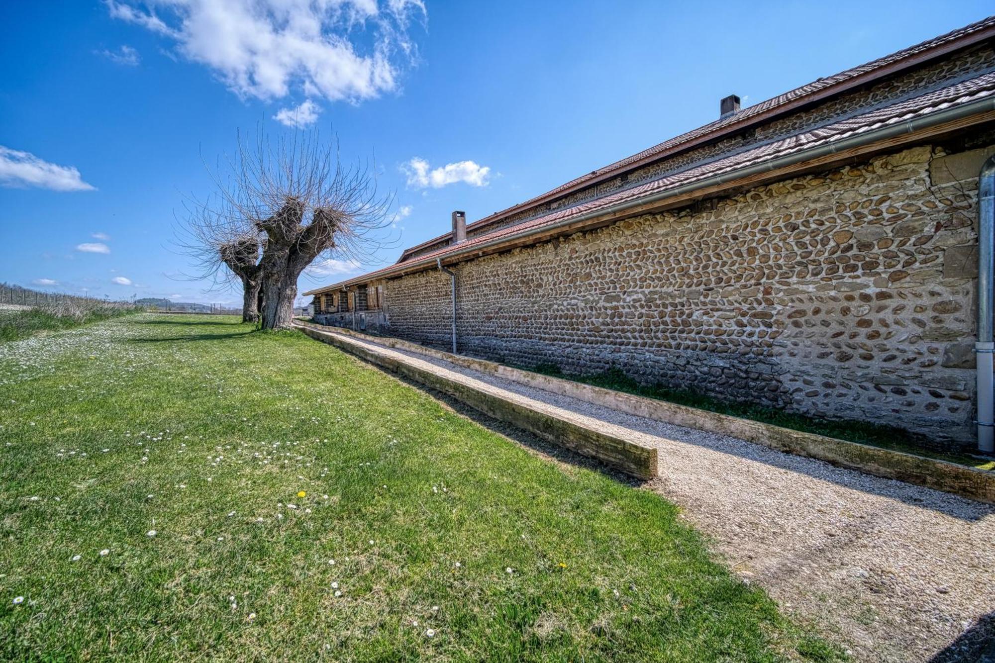 Maison Michonieres - Gite 3 Etoiles - 8 Personnes Miribel  Екстериор снимка