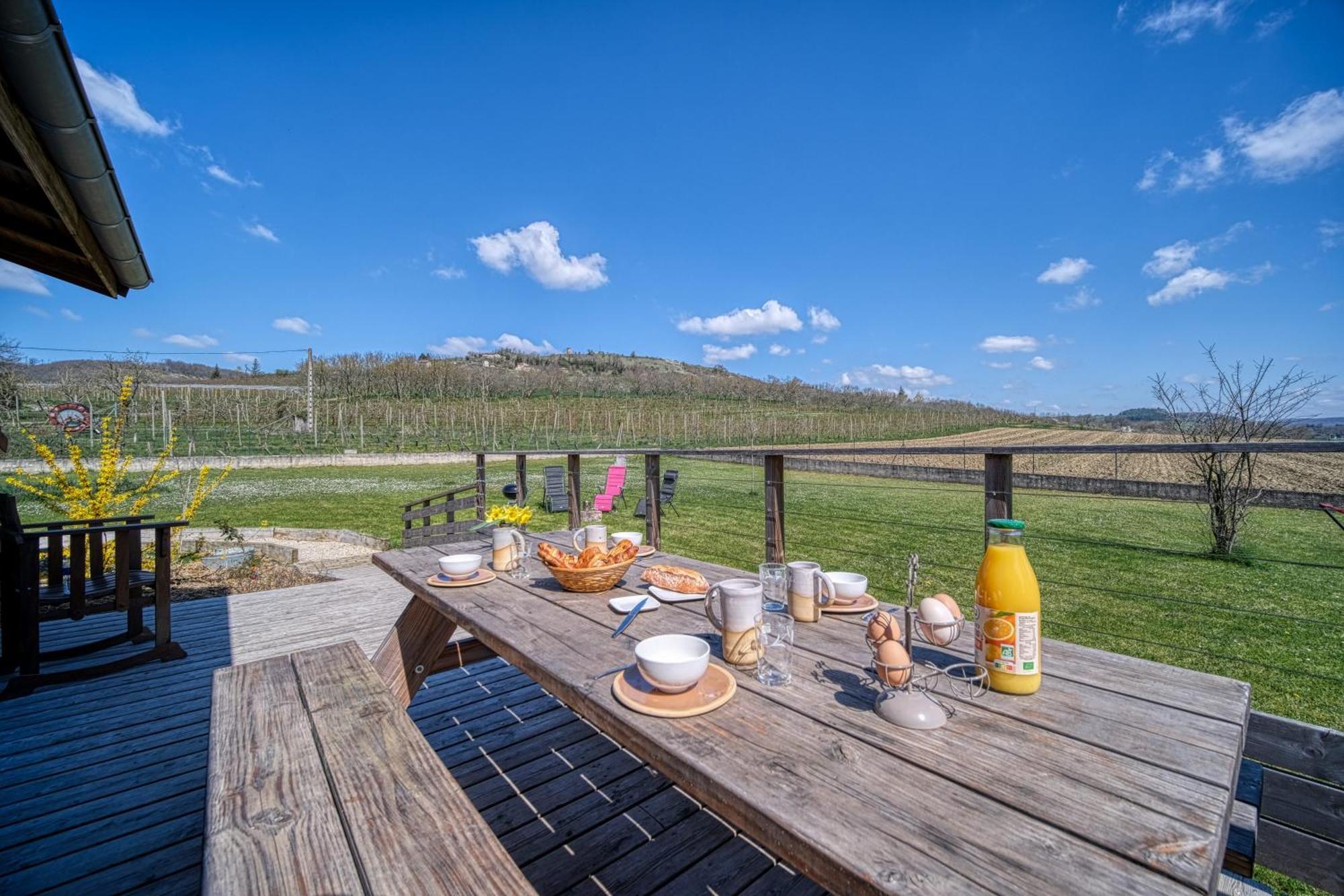 Maison Michonieres - Gite 3 Etoiles - 8 Personnes Miribel  Екстериор снимка